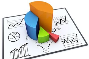 市場調研 企業成功開發的導航儀
